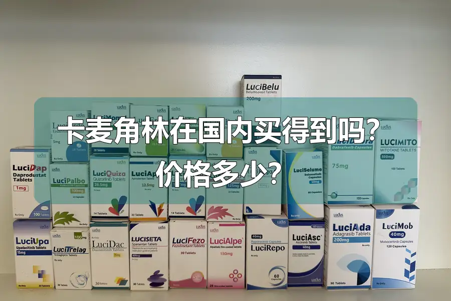 卡麦角林在国内买得到吗?价格多少?